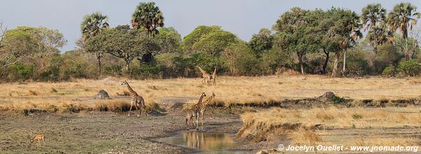 Parc national de Katavi - Tanzanie