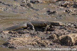 Katavi National Park - Tanzania