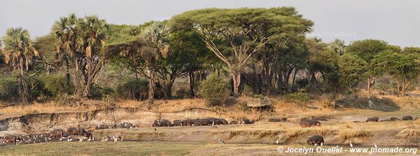 Katavi National Park - Tanzania