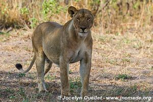 Katavi National Park - Tanzania