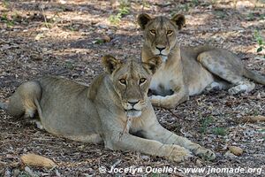 Katavi National Park - Tanzania