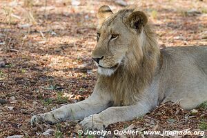 Katavi National Park - Tanzania