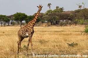 Parc national de Katavi - Tanzanie