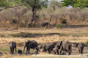 Parc national de Katavi - Tanzanie