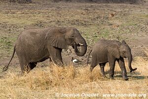 Katavi National Park - Tanzania