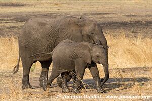 Katavi National Park - Tanzania