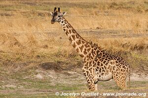 Katavi National Park - Tanzania