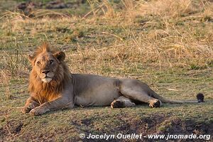 Katavi National Park - Tanzania