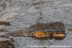 Katavi National Park - Tanzania