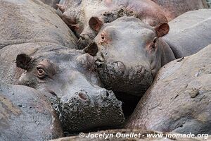 Katavi National Park - Tanzania