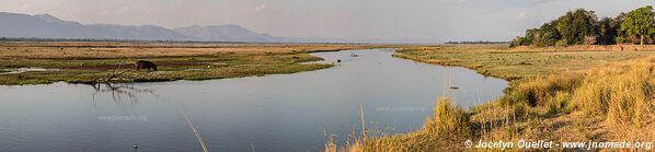 Parc national de Mana Pools - Zimbabwe