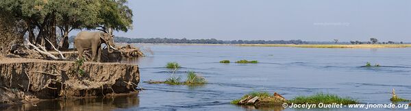 Parc national de Mana Pools - Zimbabwe