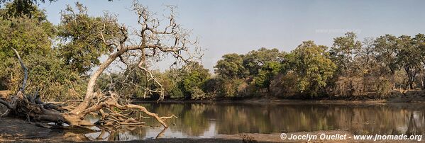 Parc national de Mana Pools - Zimbabwe