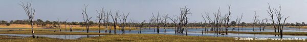 Parc national de Matusadona - Zimbabwe