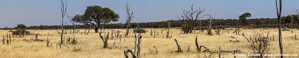 Parc national de Hwange - Zimbabwe