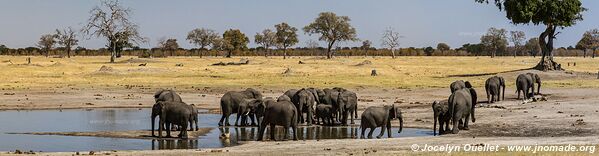 Parc national de Hwange - Zimbabwe