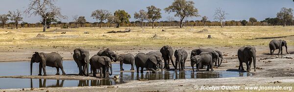 Parc national de Hwange - Zimbabwe