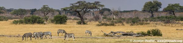 Parc national de Hwange - Zimbabwe