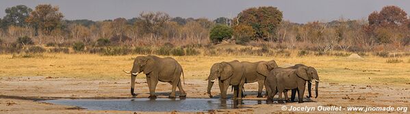 Parc national de Hwange - Zimbabwe