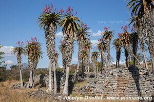 Great Zimbabwe Ruins - Zimbabwe