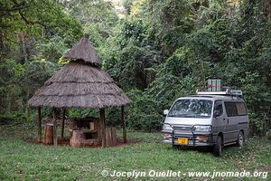 Forêt de Chirinda - Zimbabwe