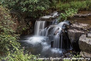 Chutes du Voile de la mariée - Parc national de Chimanimani - Zimbabwe