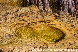 Parc national de Chimanimani - Zimbabwe