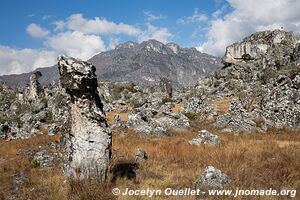 Parc national de Chimanimani - Zimbabwe