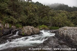 Parc national de Nyanga - Zimbabwe