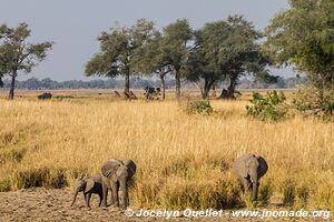 Parc national de Mana Pools - Zimbabwe