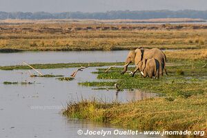 Mana Pools National Park - Zimbabwe