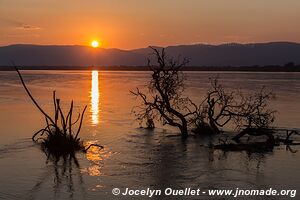 Parc national de Mana Pools - Zimbabwe