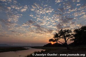 Parc national de Mana Pools - Zimbabwe