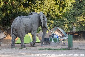 Parc national de Mana Pools - Zimbabwe