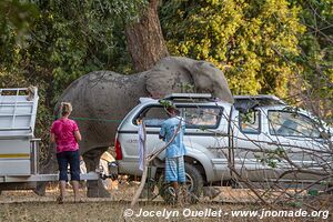 Parc national de Mana Pools - Zimbabwe