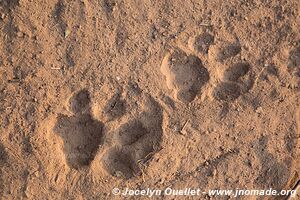 Parc national de Mana Pools - Zimbabwe