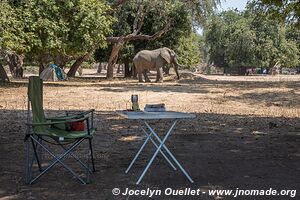 Mana Pools National Park - Zimbabwe