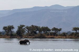 Mana Pools National Park - Zimbabwe