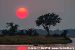 Parc national de Mana Pools - Zimbabwe