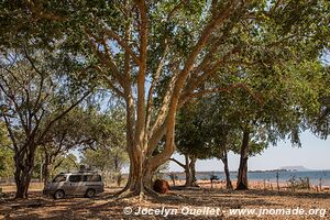 Matusadona National Park - Zimbabwe