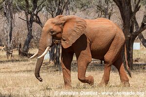 Matusadona National Park - Zimbabwe