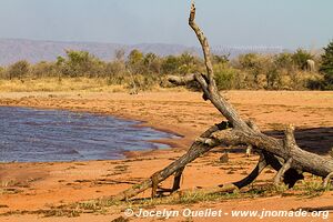 Matusadona National Park - Zimbabwe