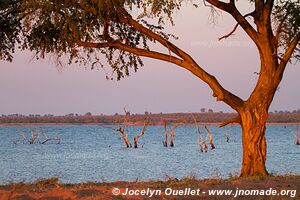 Parc national de Matusadona - Zimbabwe