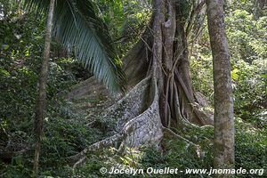 Lamanai - Belize