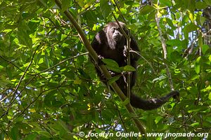 Lamanai - Belize