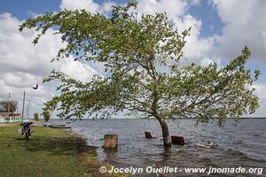 Crooked Tree Wildlife Sanctuary - Belize