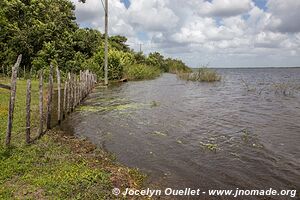 Crooked Tree Wildlife Sanctuary - Belize