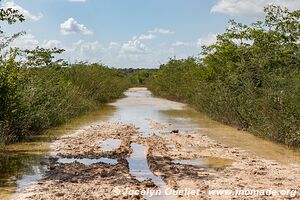 Crooked Tree Wildlife Sanctuary - Belize