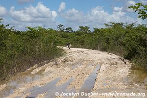 Crooked Tree Wildlife Sanctuary - Belize