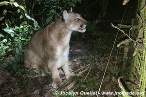 Belize Zoo - Belize